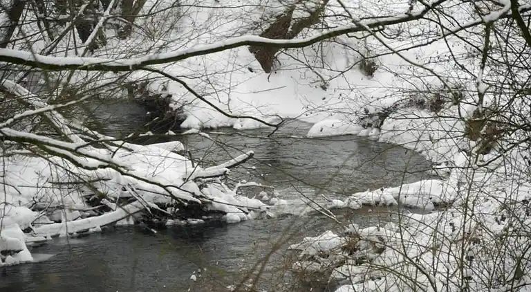 Ferielejlighed i Merlsheim