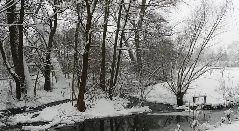 Ferielejlighed i Merlsheim