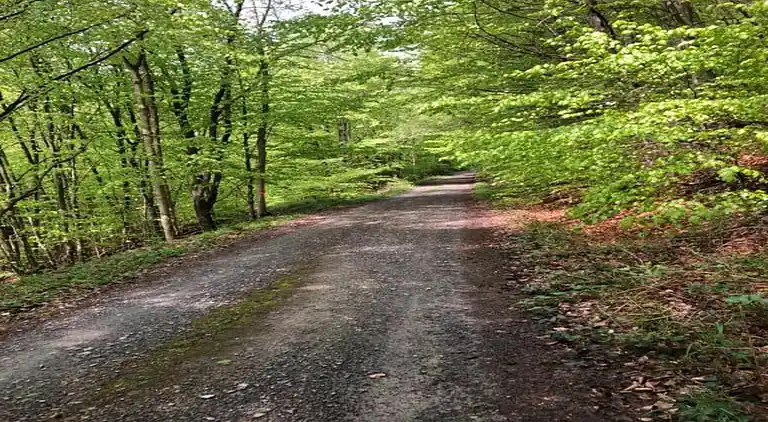 Apartment in Merlsheim