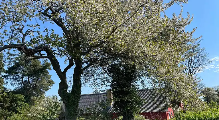 Naturnahe Lage bei Wald, Golf und Strand