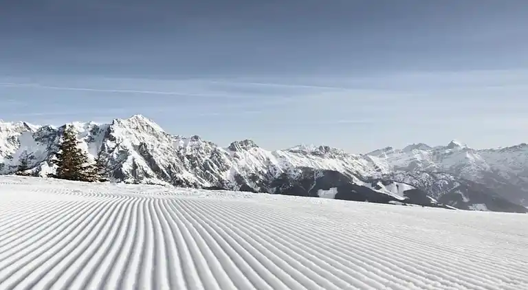 Apartment in Leogang