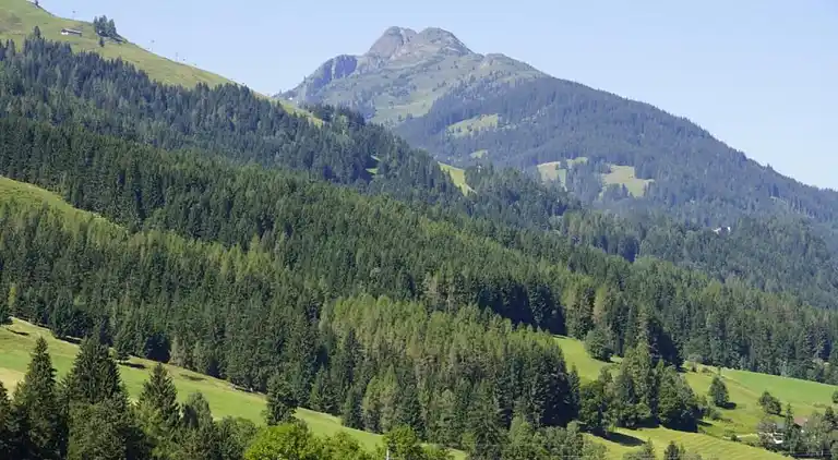 Apartment in Leogang