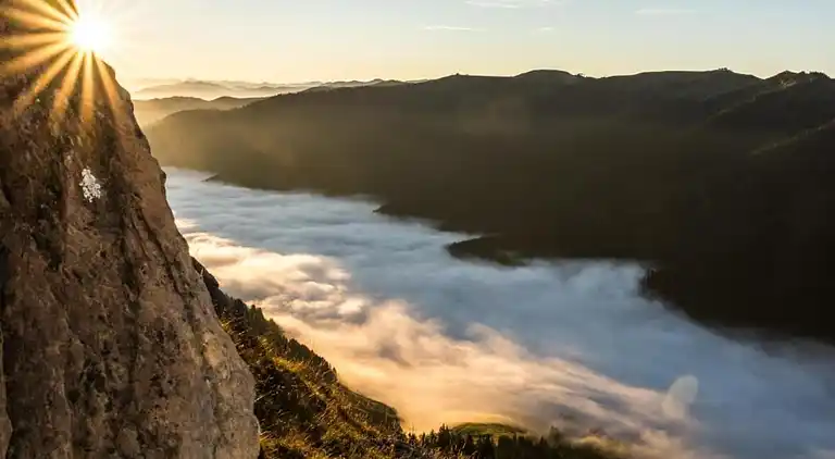 Ferielejlighed i Leogang