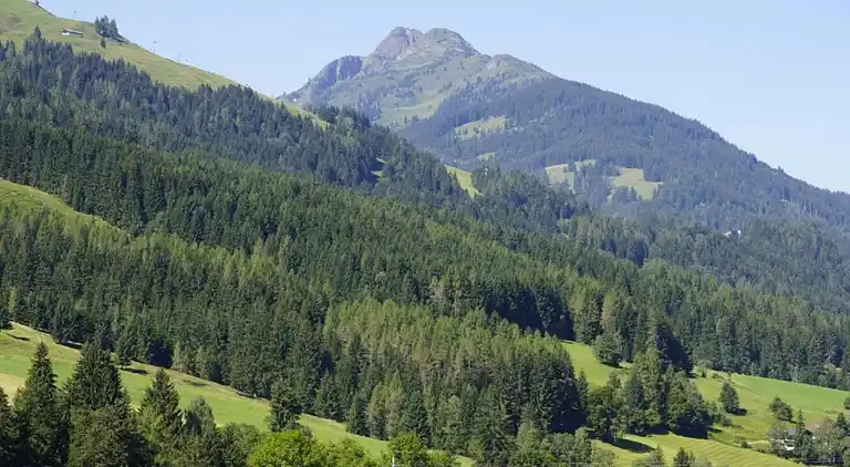 Apartment in Grießen