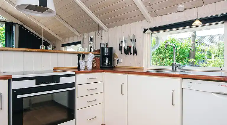 Vakantiehuis in Skaven Strand