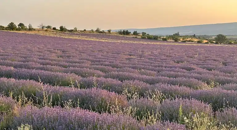 Ferielejlighed i Ferrassières