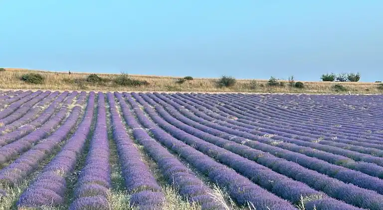 Ferielejlighed i Ferrassières