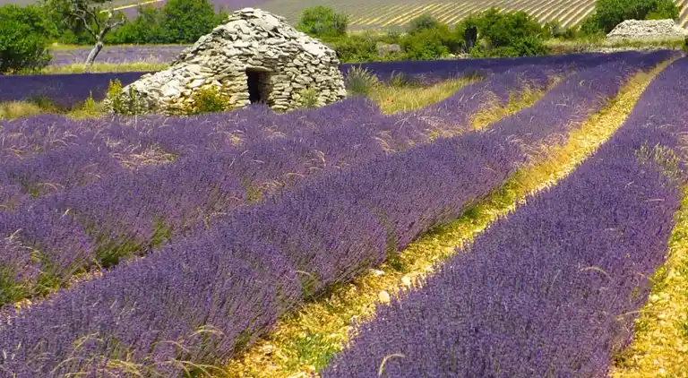 Ferielejlighed i Ferrassières