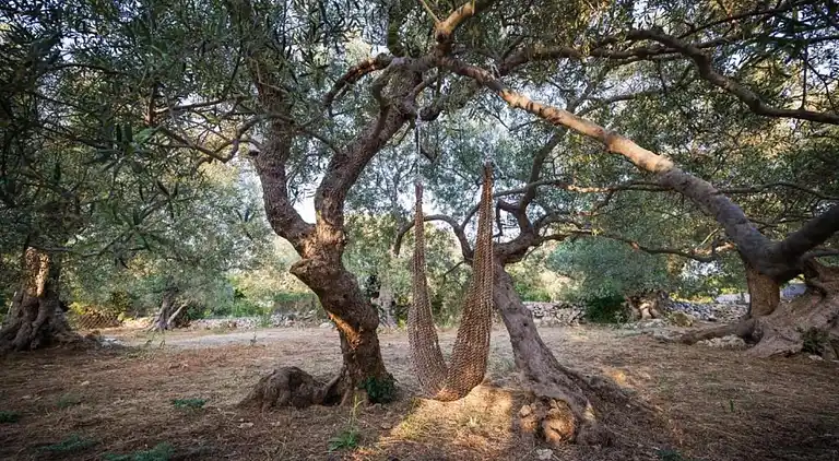 Casa de vacaciones en Le Ham