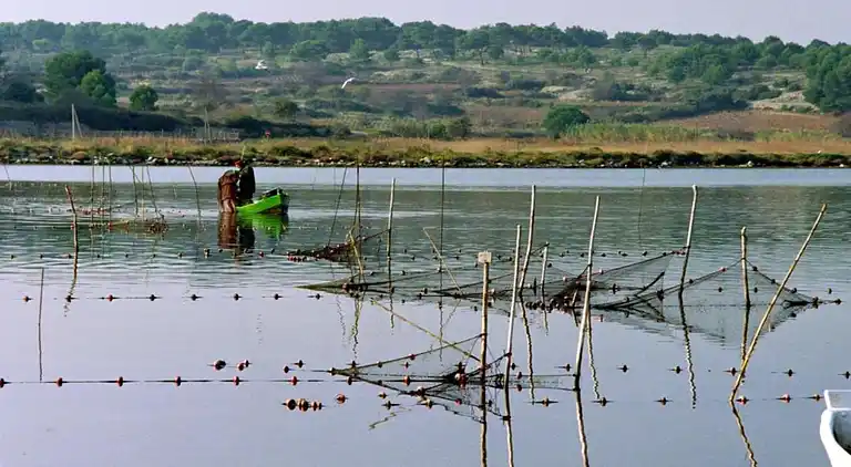 Feriebolig i Ravenoville