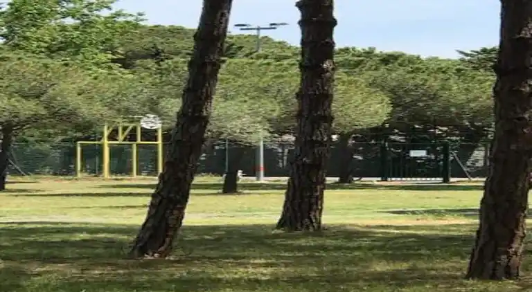 Feriebolig i Ravenoville