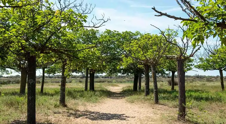 Feriebolig i Ravenoville