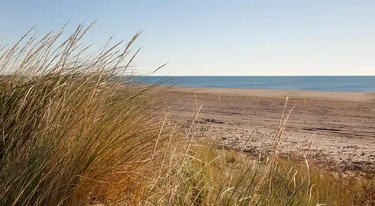 Feriebolig i Ravenoville