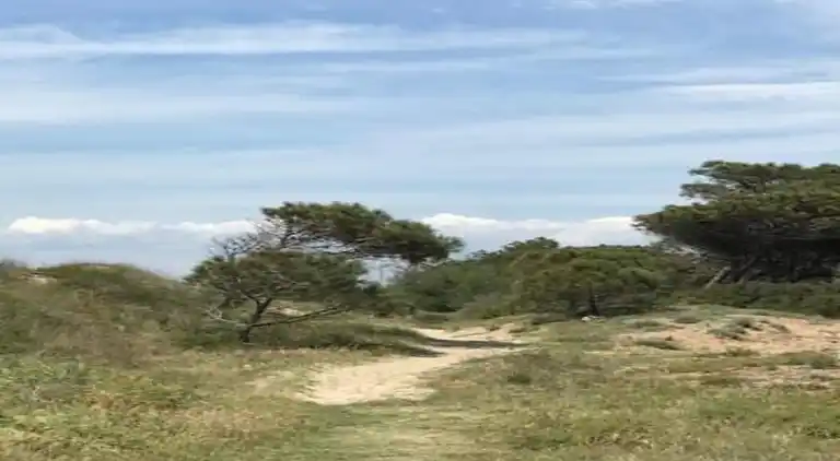 Feriebolig i Ravenoville