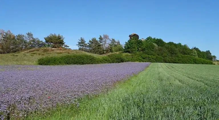 Apartment in Neudorf