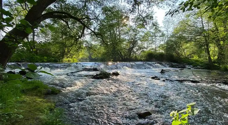 Apartment in Neudorf