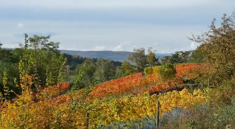 Apartment in Neudorf
