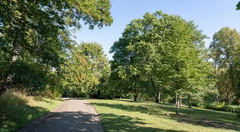 Apartment in Neudorf