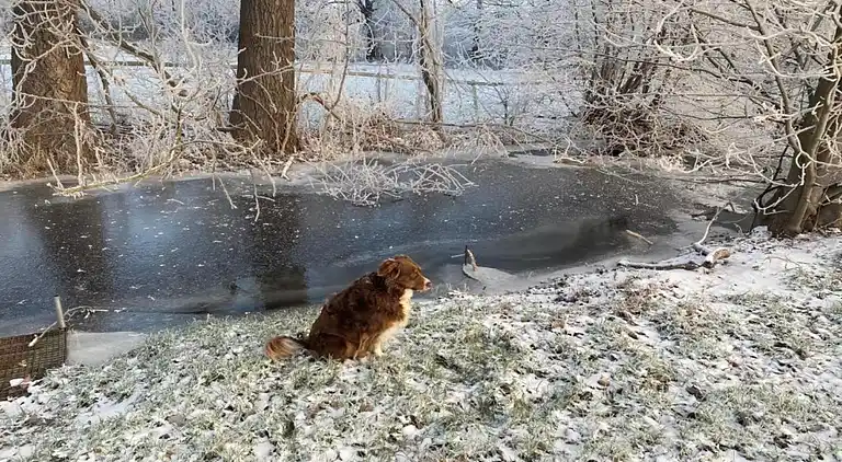 Apartment in Neudorf