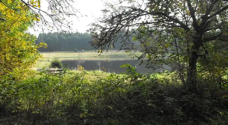 Ferielejlighed i Wildemann