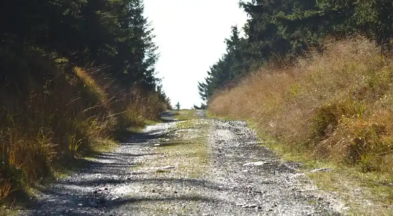 Ferielejlighed i Wildemann