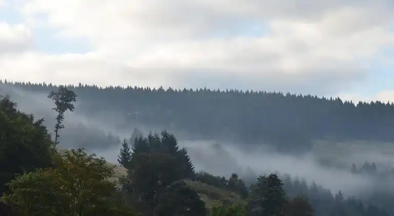 Ferielejlighed i Wildemann