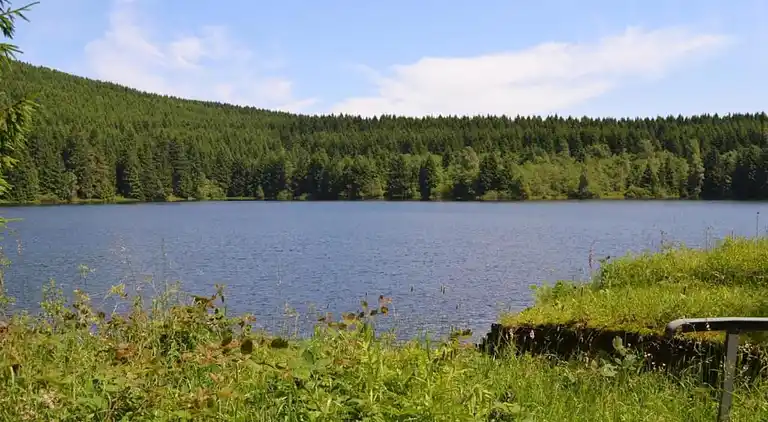 Ferielejlighed i Wildemann