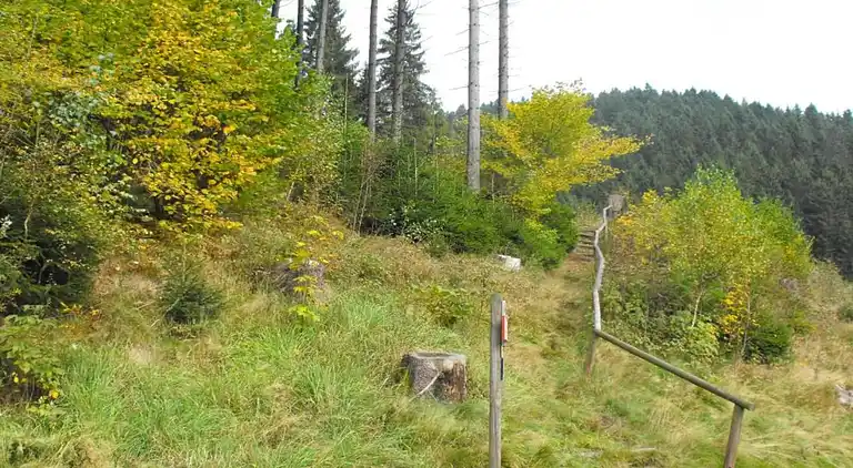 Ferielejlighed i Wildemann