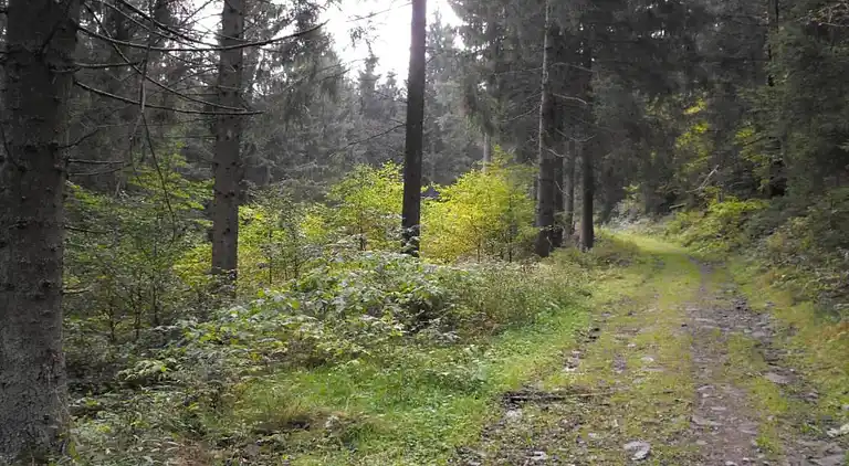 Ferielejlighed i Wildemann