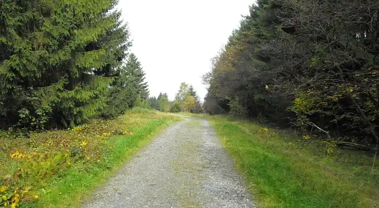 Ferielejlighed i Wildemann