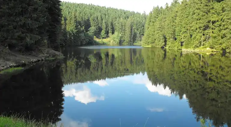 Ferielejlighed i Wildemann