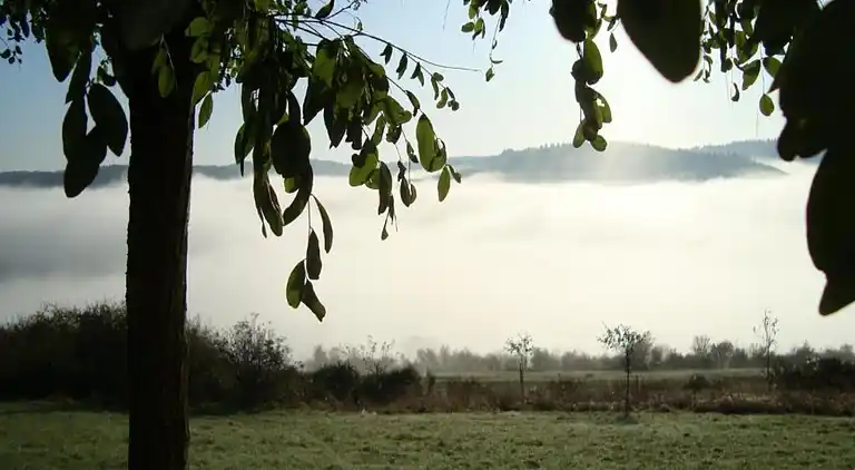 Ferielejlighed i Morsbach