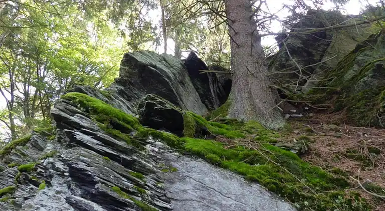 Ferielejlighed i Morsbach