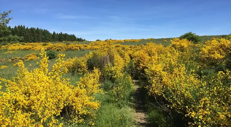 Appartement in Morsbach