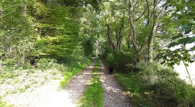 Appartement in Morsbach