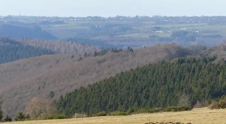 Appartement in Morsbach