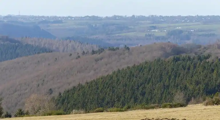 Ferielejlighed i Morsbach