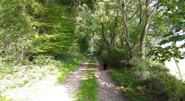 Ferielejlighed i Morsbach