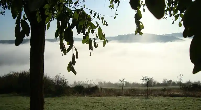 Appartement in Morsbach