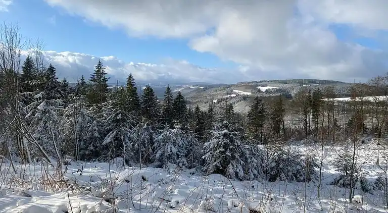 Ferienwohnung in Sauerland