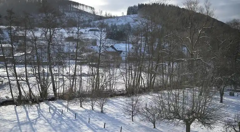 Apartment in Deifeld