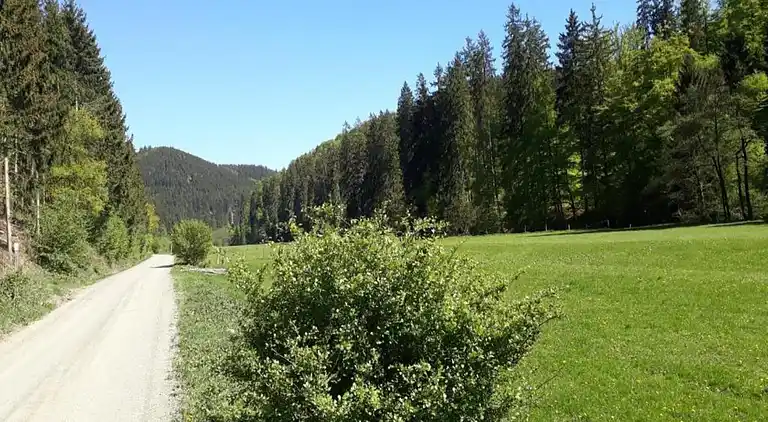 Ferienwohnung in Sauerland