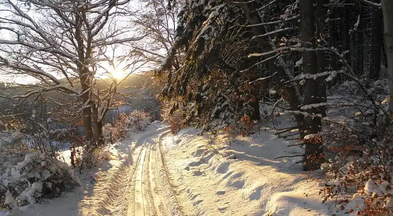 Ferienwohnung in Sauerland