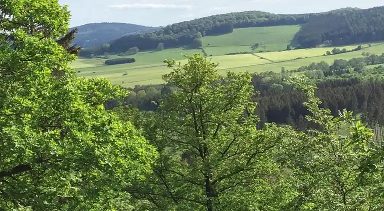Ferienwohnung in Sauerland