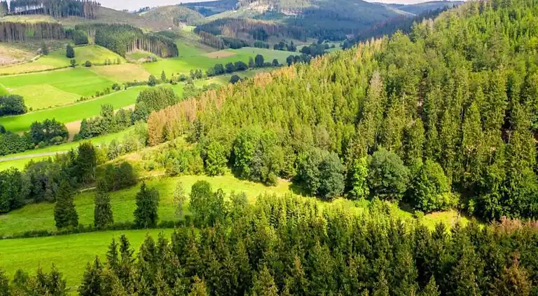 Sommerhus i Düdinghausen