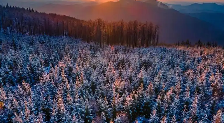 Ferienwohnung in Wissinghausen