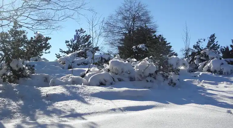 Apartment in Düdinghausen