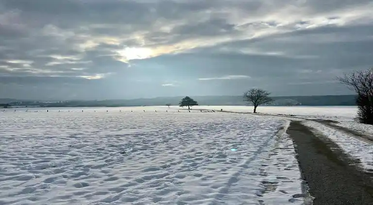Ferienwohnung in Wissinghausen