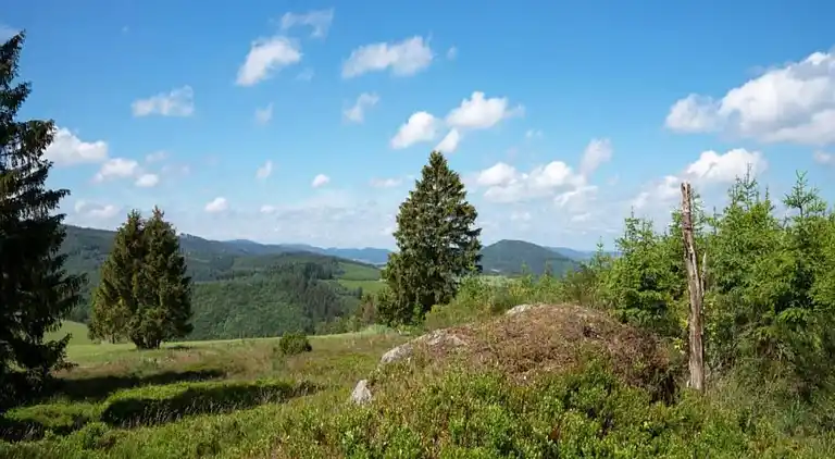 Holiday home in Oberschledorn