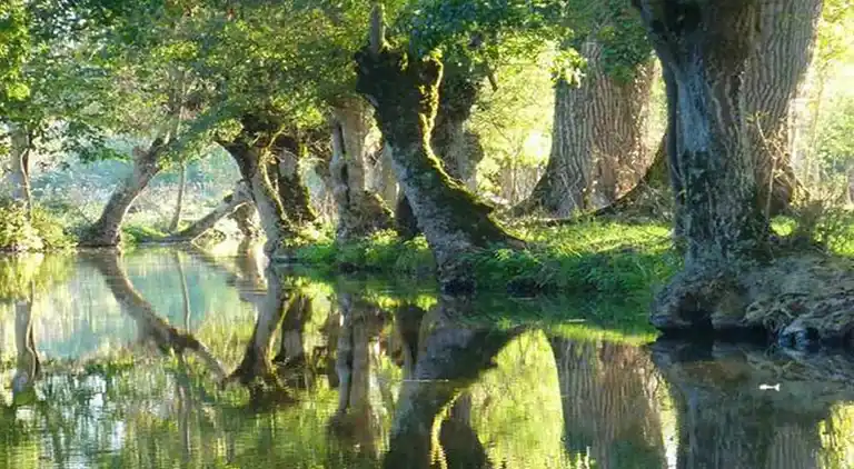 Holiday home in Cezais